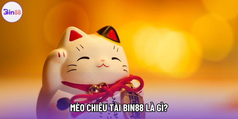 Mèo chiêu tài bin88 là gì?